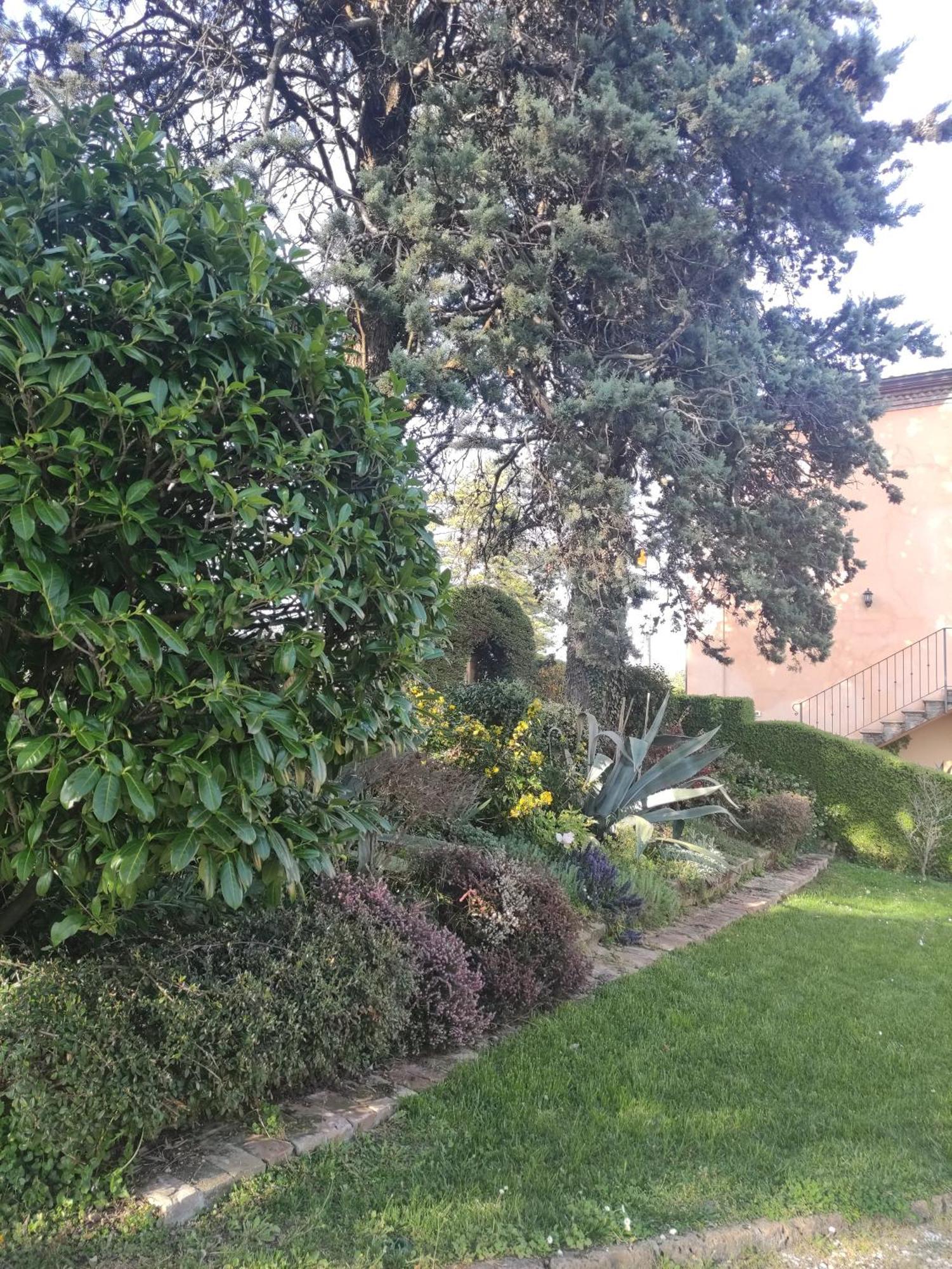 La Pergola Bed & Breakfast Becedasco Luaran gambar